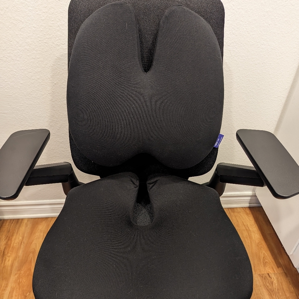 Cushion Lab Cushion and Lumbar Pillow